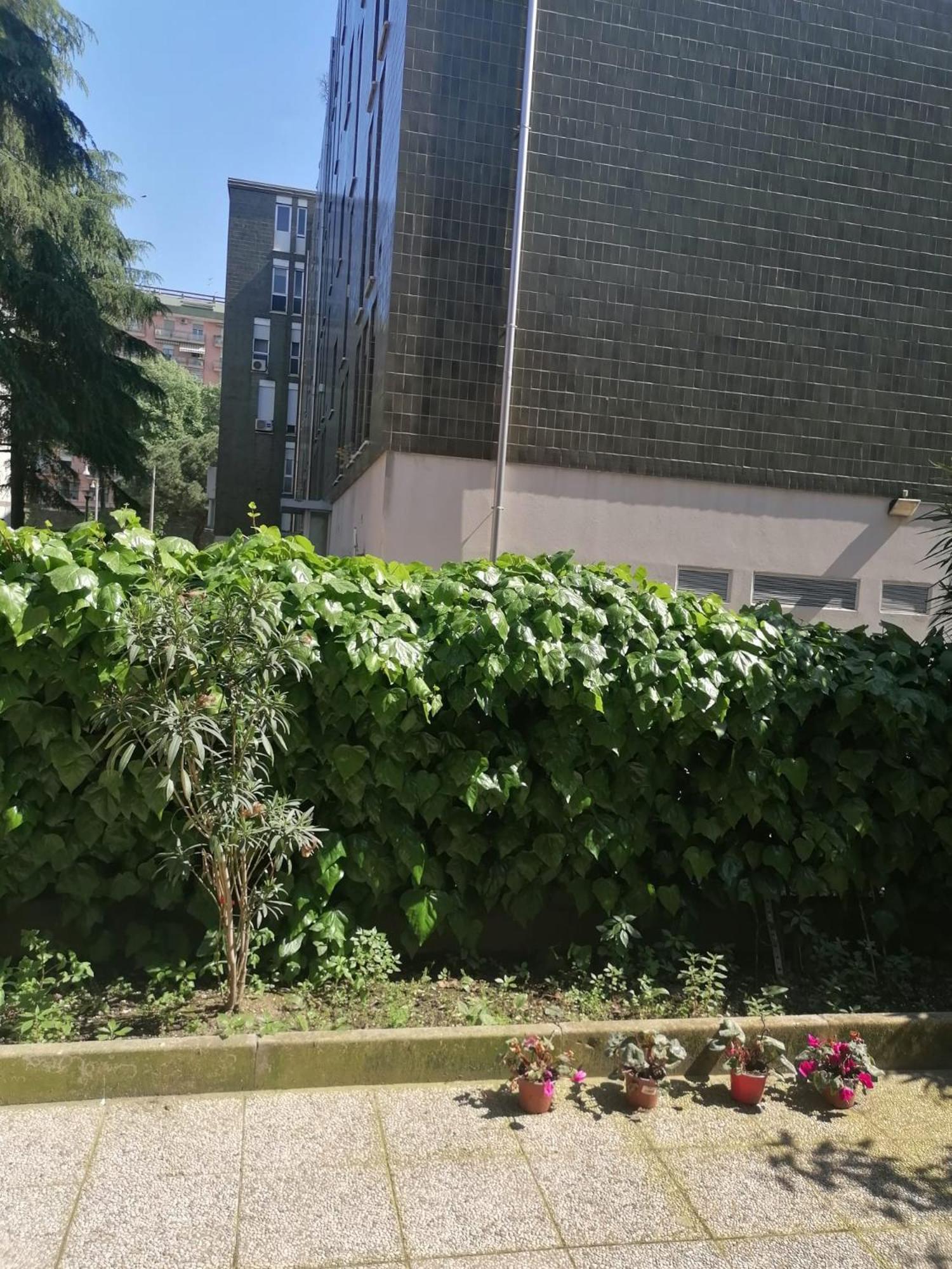 Homestay Venice Station *